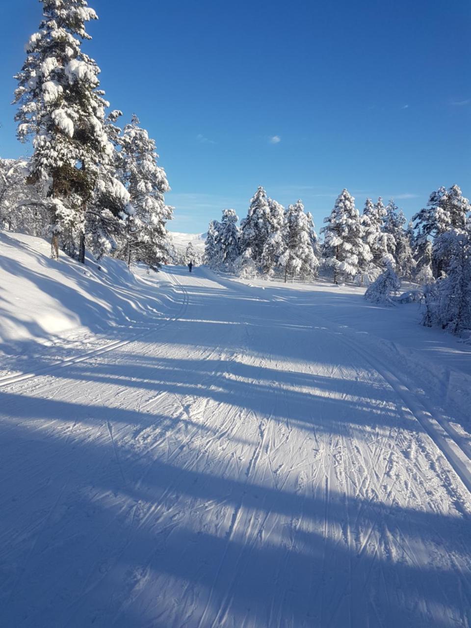 Voss Interlake - Villa Skulestadmo Zewnętrze zdjęcie